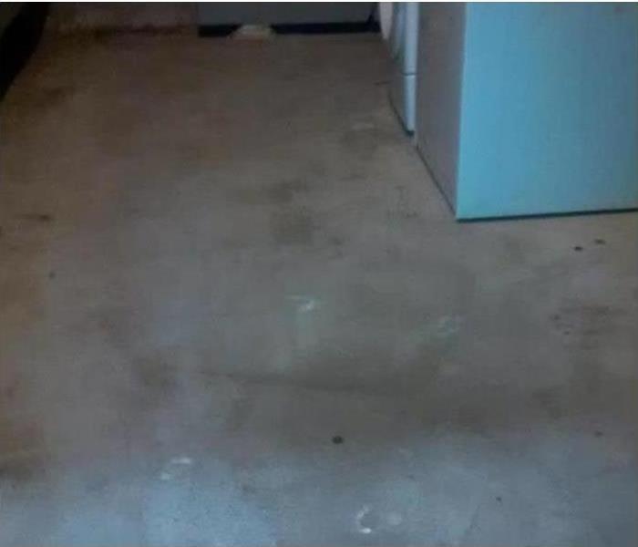 Water Damage restoration in the basement of a Mansfield, Ohio home