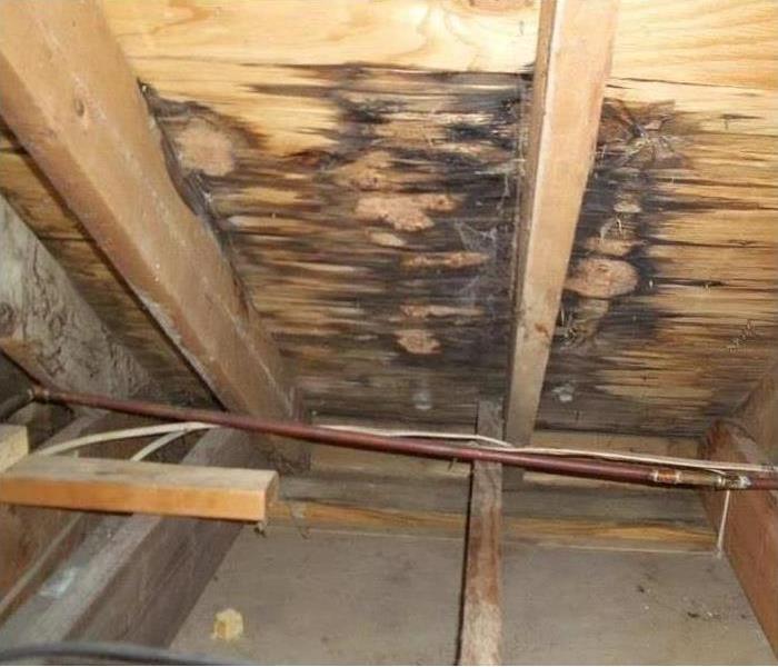 An attic ceiling with water damage